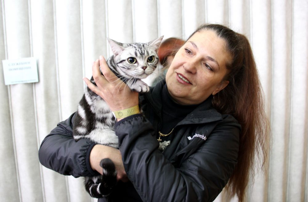 Выставка кошек в Киеве