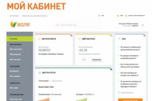 Как выглядит портал самообслуживания «Мой кабинет»
