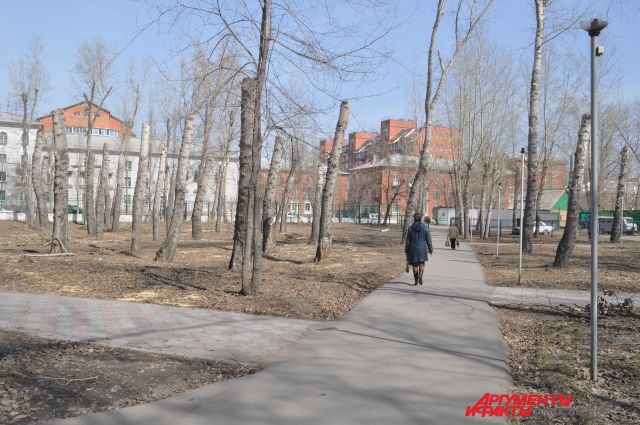 Омск превратится в сад после реализации проекта озеленения.
