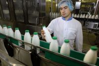По производству молока Прииртышье занимает второе место в Сибири.