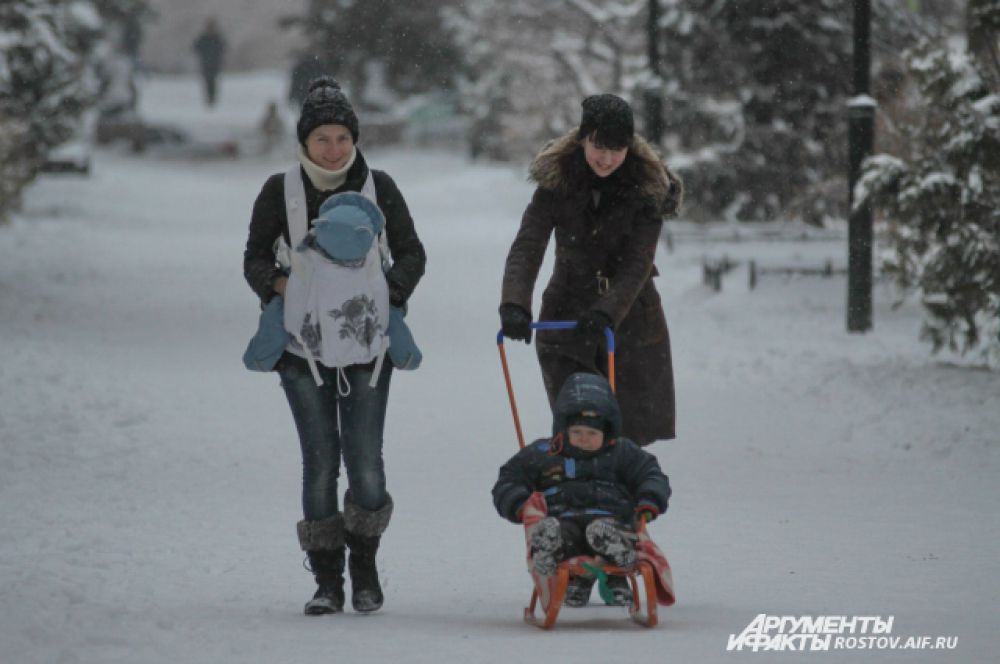 У природы нет плохой погоды: прогулки - по расписанию.