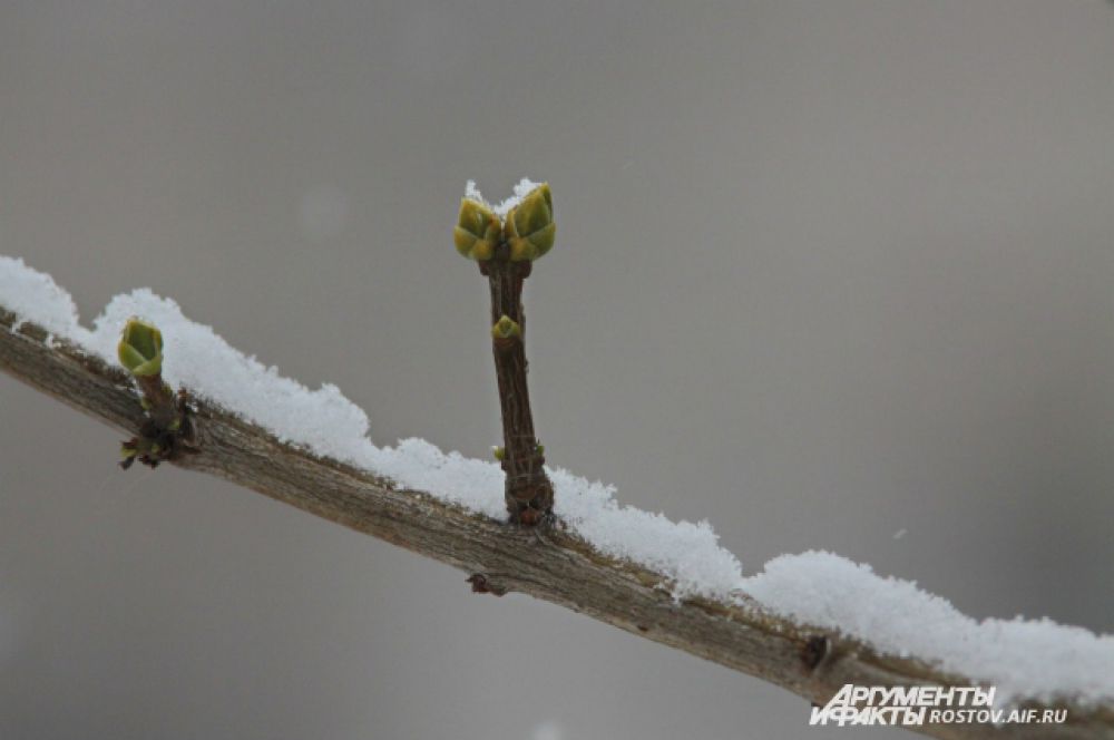 Нет зимы, которая бы не кончалась.