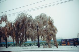 Снег
