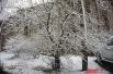 Во Владивостоке первый снег выпал в ночь на 30 сентября, что крайне рано для Приморья. Конечно, он не укрыл землю, а растаял.  Зато в первых числах декабря во Владивостоке наконец-то выросли сугробы.