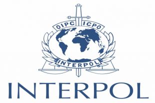 Интерпол