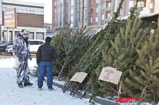 Продавать елки в Омске можно только в установленных местах.