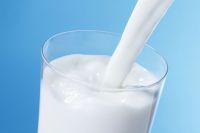 Козье молоко полезнее и питательнее коровьего.