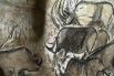 Удивительно, что художники отдают предпочтение носорогам, львам, пещерным медведям и мамонтам. Обычно моделями наскальной живописи служили те животные, на которых охотились. 