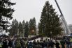 16 декабря. Главную новогоднюю елку страны срубили в Рузском районе Подмосковья. Высота кремлевской ели нынешнего года составляет 31 метр, а диаметр ствола — 72 сантиметра.