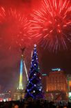 2008 год. На установку и декор елки, а также праздничную программу потратили 1,2 млн грн. 35-метровую конструкцию украсили 300 игрушек, среди которых был символ года – бычок