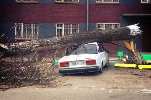 29 апреля сильный ураган и его последствия стали трендом в социальных сетях: http://www.irk.aif.ru/society/1159384