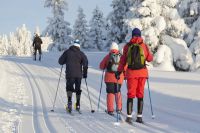 Польза лыжного спорта для школьников