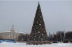 Главная елка Воронежа в этом году получилась очень нарядная.