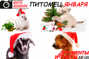Конкурс «Питомец января»