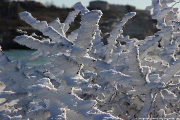 Аномальные морозы в Крыму