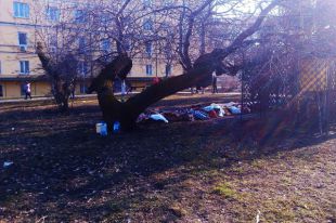 Погибшие бойцы