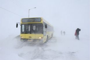 Автобус