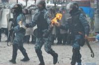 Беркут