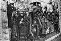 Заключенные концлагеря Освенцим смотрят в объектив из-за колючей проволоки. 27 января 1945 год.