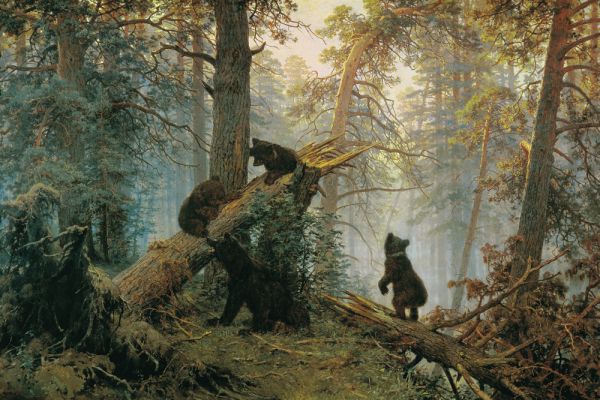 «Утро в сосновом лесу», 1889 год.
