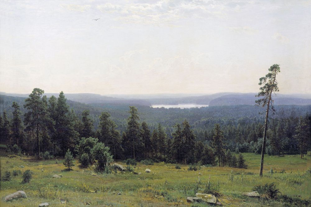 «Лесные дали», 1884 год.