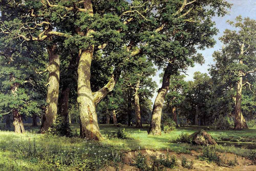 «Дубовая роща», 1887 год.