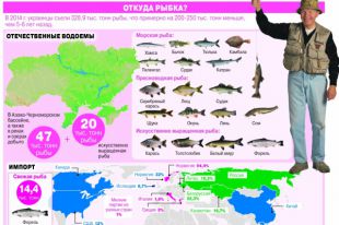 Рыба