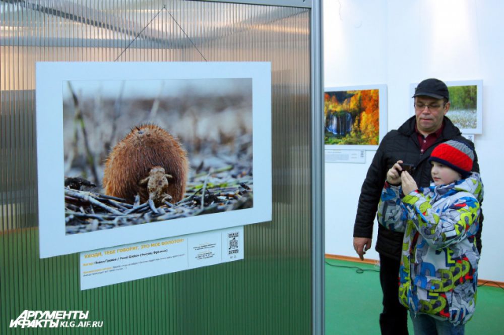 Выставка фото дикой природы будет работать до 21 марта.