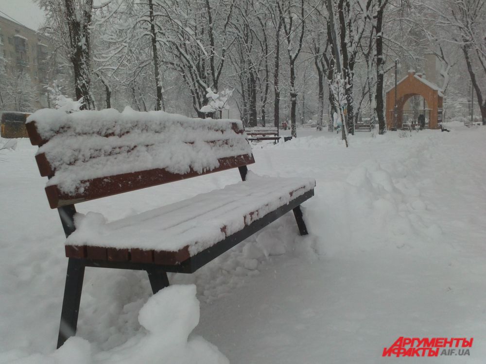 Снегопад в Киеве
