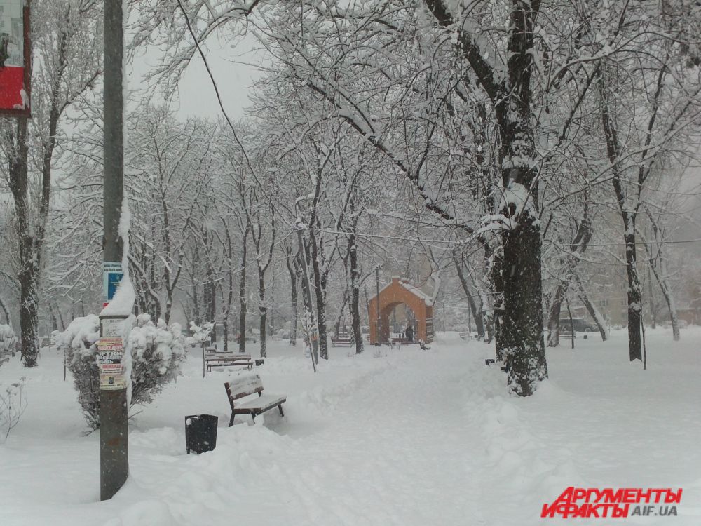 Снегопад в Киеве