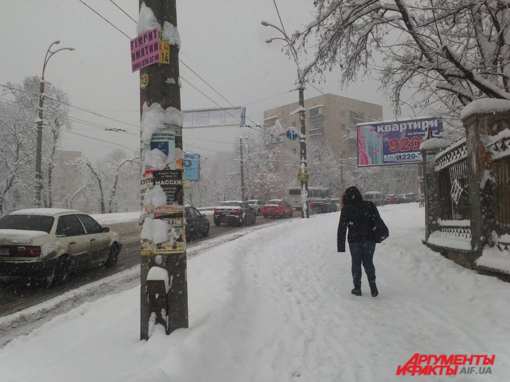 Снегопад в Киеве
