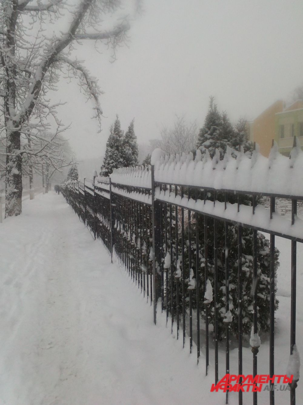 Снегопад в Киеве