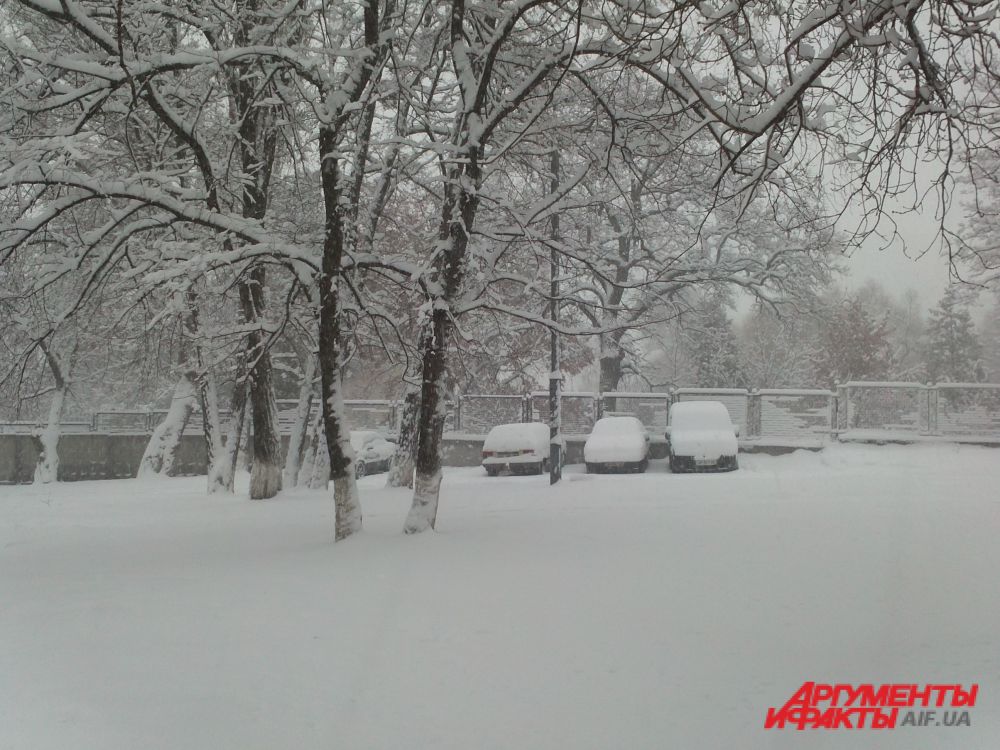 Снегопад в Киеве