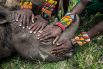 Ами Витале, фотограф, работающий для National Geographic, занял второе место в категории «Природа». На данной картине изображена группа молодых воинов племени Самбуру, которые впервые в своей жизни столкнулись с носорогом.