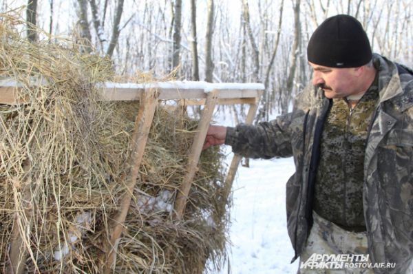 Начальник отдела охраны «Горненского» природного заказника Виктор Пантелейчук проверяет, чтобы сено было влажным, так его лучше едят косули.