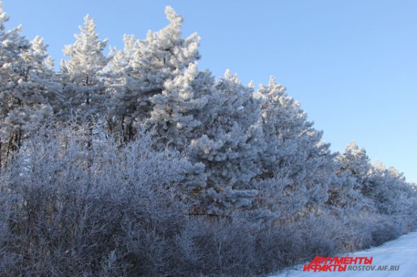 В Ростове снег сошёл две недели назад, а здесь, в 100 км от города-миллионника, зима не собирается сдавать свои полномочия.