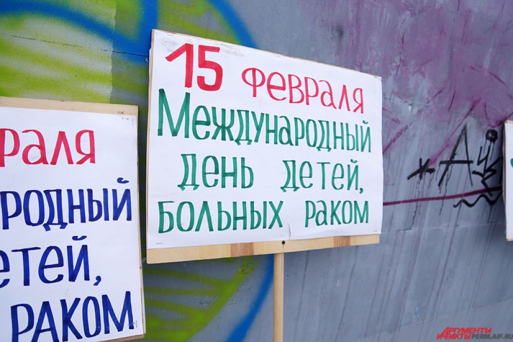 Организатором выступил благотворительный фонд «Берегиня».