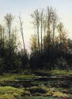 Иван Шишкин. «Лес весной». 1884 год.