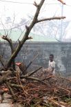 В островное государство Вануату, на который недавно обрушился разрушительный циклон, доставили первую партию гуманитарной помощи. 