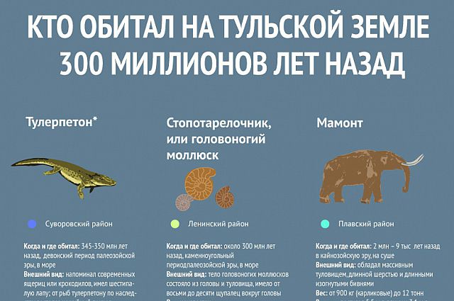 Какие животные обитают в тульской области. Инфографика шерстистый мамонт. Где обитали мамонты в России. Животные Тульской области. Животные Тульской области список.