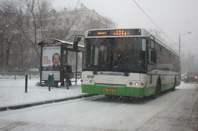Автобусы нескольких маршрутов будут останавливаться перед входом в парк.