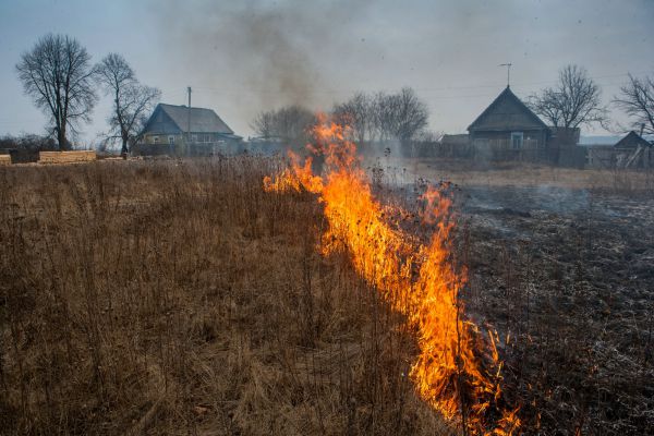 Пожар в Ново-Николаевском Выгоничского района.
