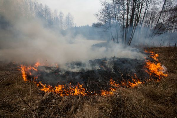 Пожар в Ново-Николаевском устроил местный житель, который хотел сжечь траву в огороде.