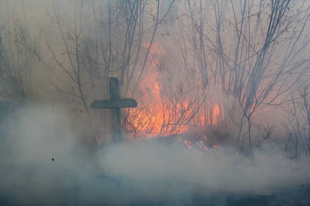 Пожар на кладбище в деревне Скоробогатская Слобода Новозыбковского района. 24 марта.