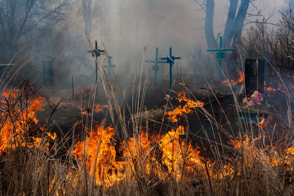 Пожар на кладбище в деревне Скоробогатская Слобода Новозыбковского района. 24 марта. 