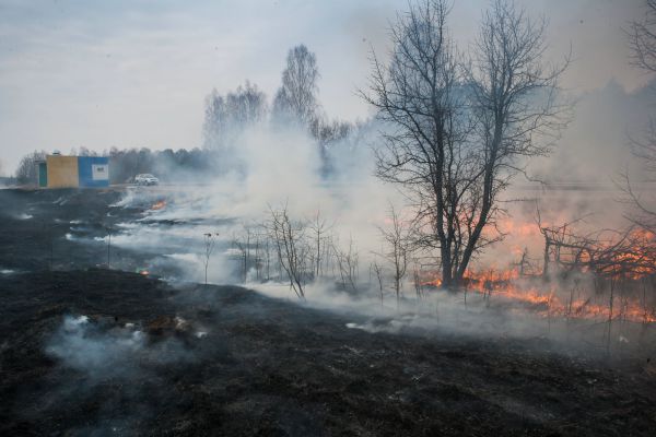 Огонь лишь чудом не уничтожил дома жителей Выгоничского района.