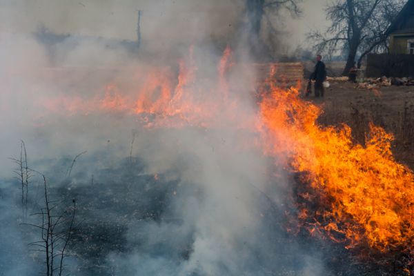 Пожар в Ново-Николаевском Выгоничского района. 21 марта.