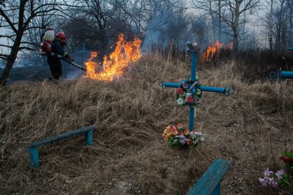 Пожар на кладбище в деревне Скоробогатская Слобода Новозыбковского района. 24 марта.