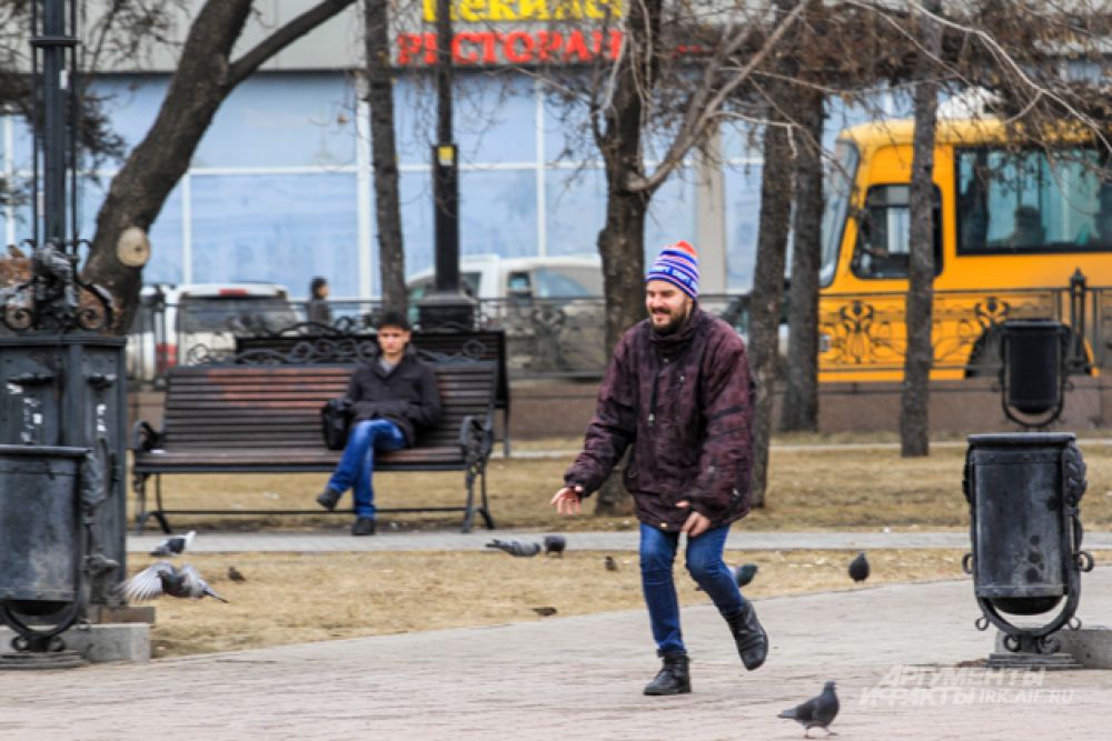 Участники погоняли голубей.