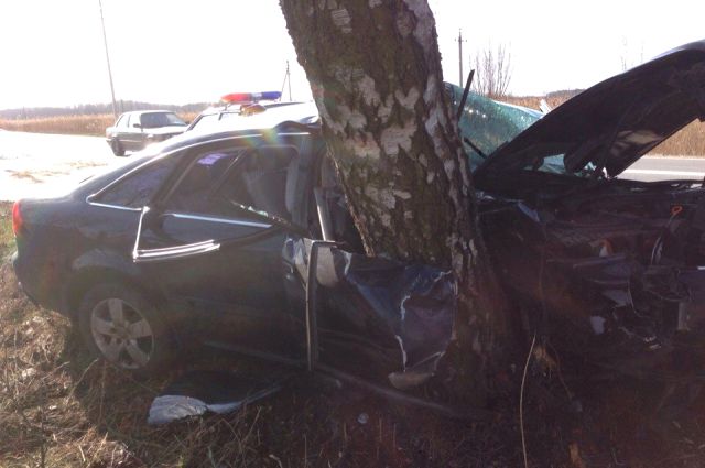 Водитель, после того как его «подрезало» другое авто, не смог справиться с управлением и влетел в дерево.